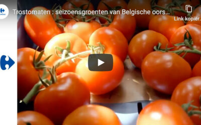 Carrefour kiest Tomato Masters