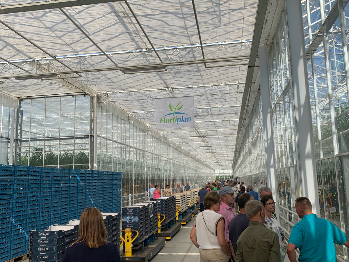 klimaatcontrole-01 Tomato Masters