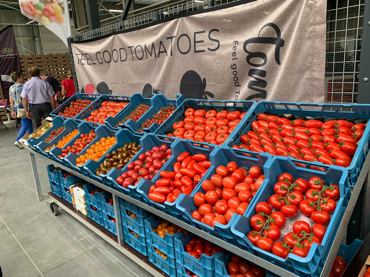 voedselveiligheid | Tomato Masters