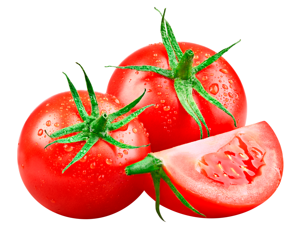 Tomaten | Tomato Masters