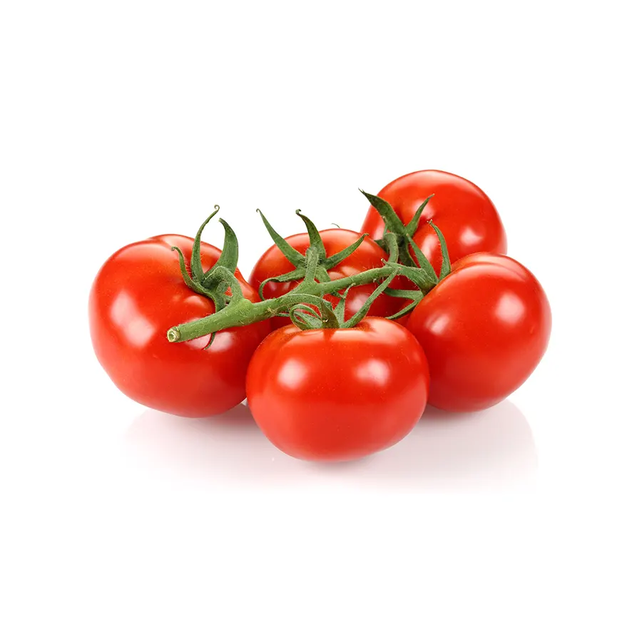 Kubello | Tomato Masters
